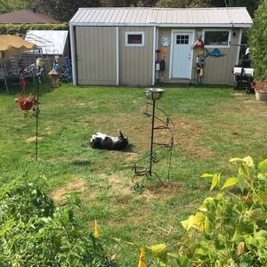 Meet your Posher, Alice